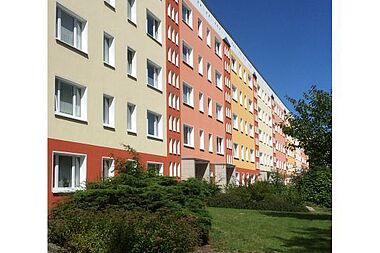 Bild zu 