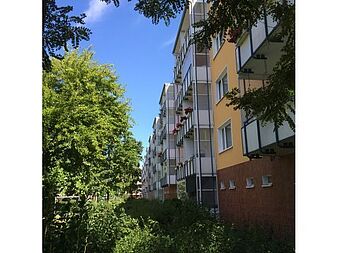Bild zu 