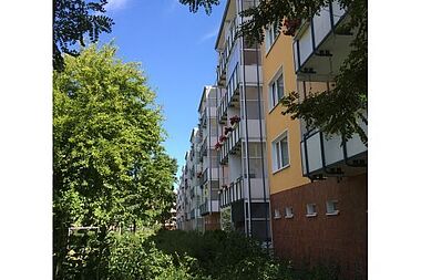 Bild zu 