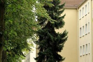 Bild zu 
