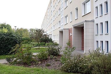 Bild zu 