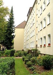 Bild zu 