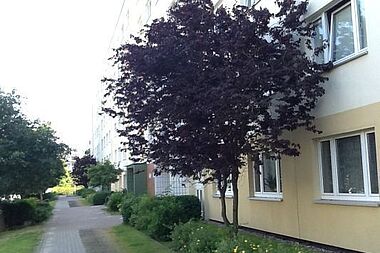 Bild zu 